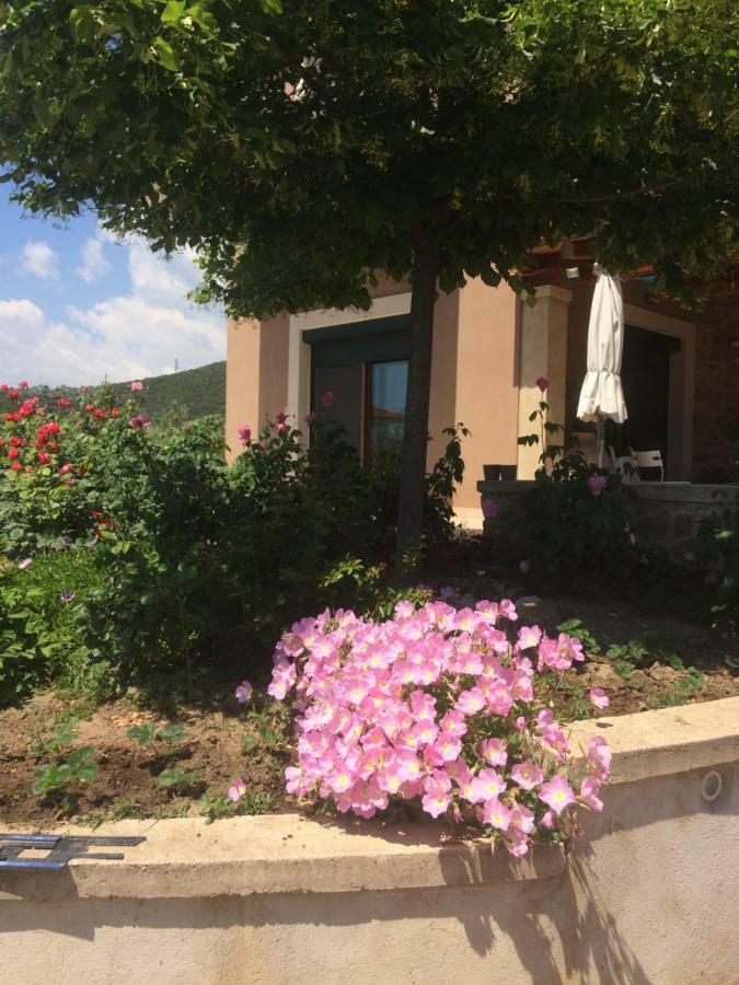 Olive Tree Cottage Néa Péramos Extérieur photo