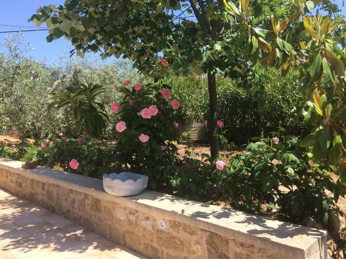 Olive Tree Cottage Néa Péramos Extérieur photo